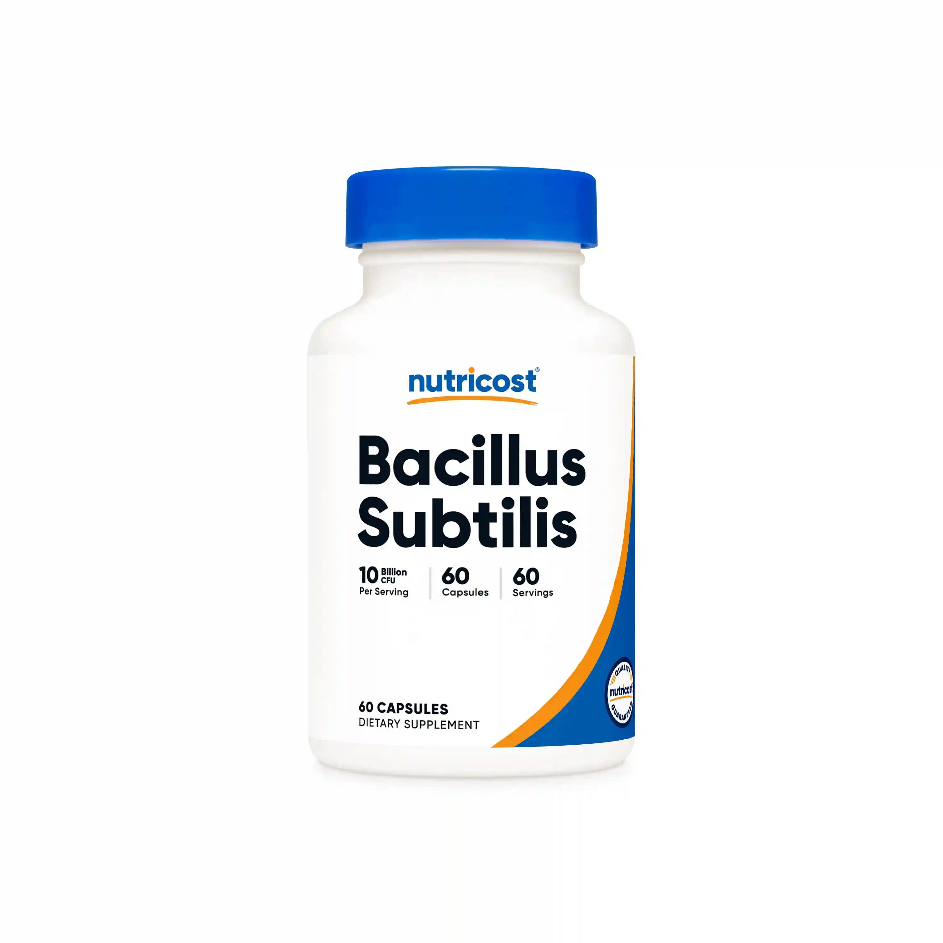 Bacillus Subtilis